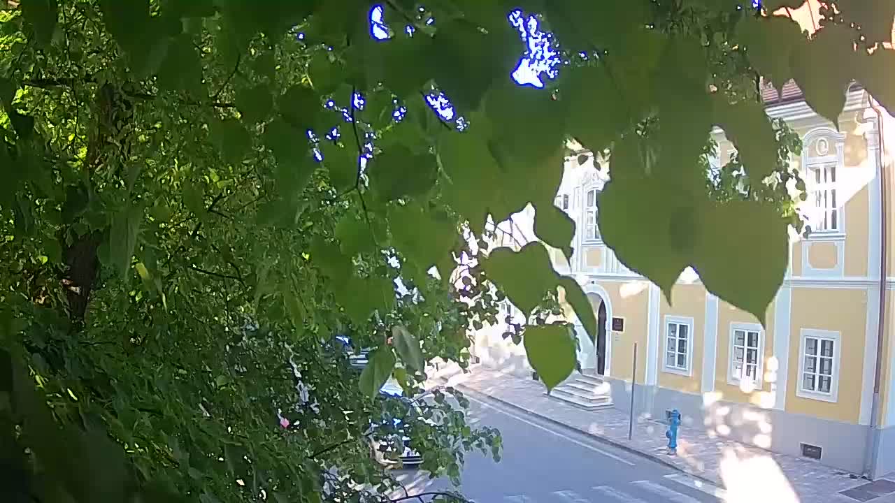 Spletna kamera v živo Petrinja centralni park – po potresu