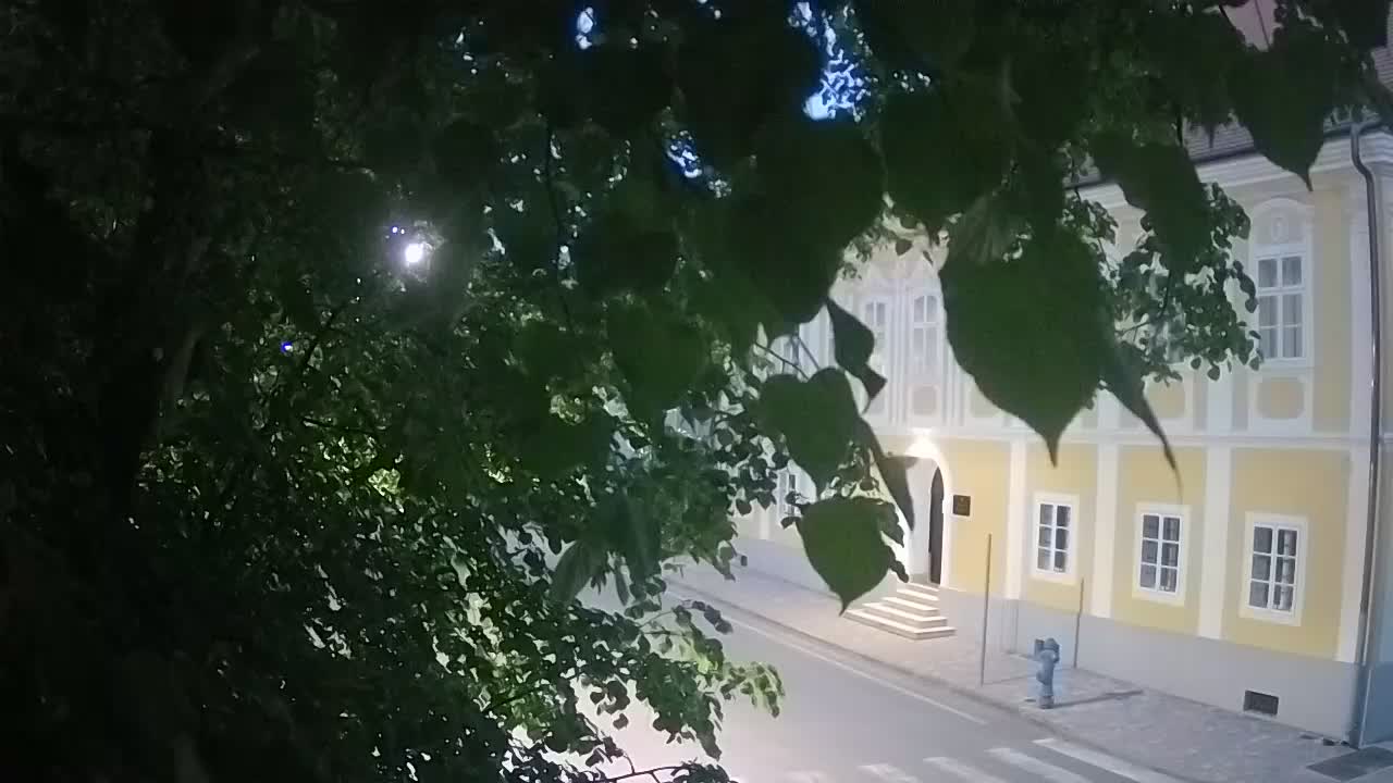 Spletna kamera v živo Petrinja centralni park – po potresu