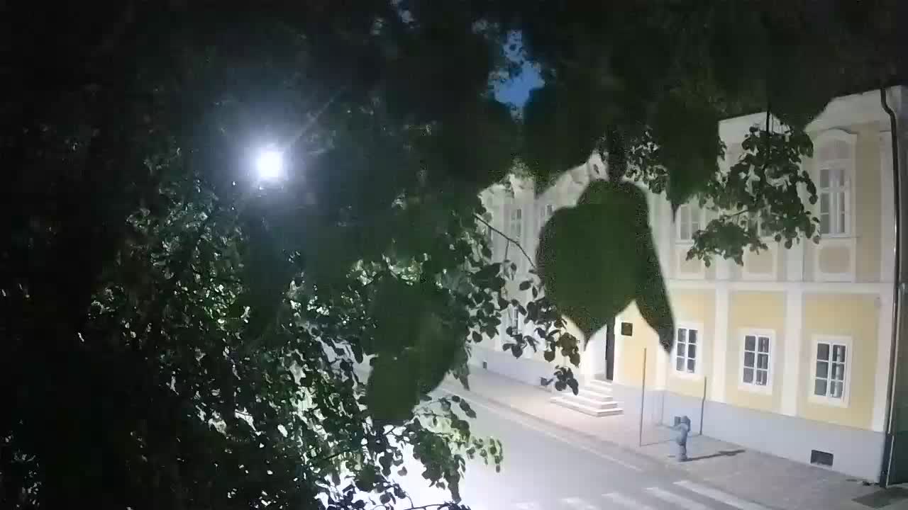 Webcam en vivo parque Petrinja – después del terremoto