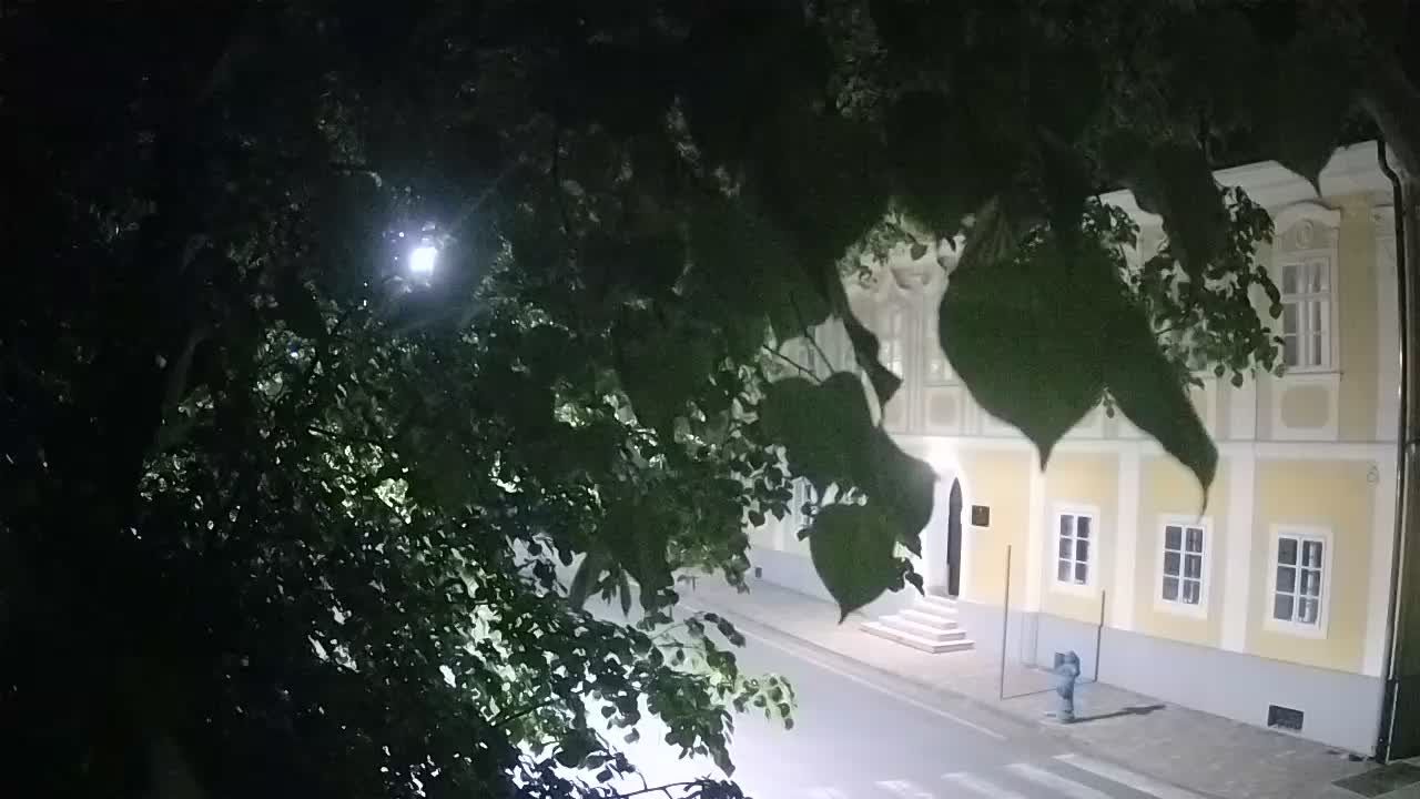 Webcam en direct du parc Petrinja – après le tremblement de terre