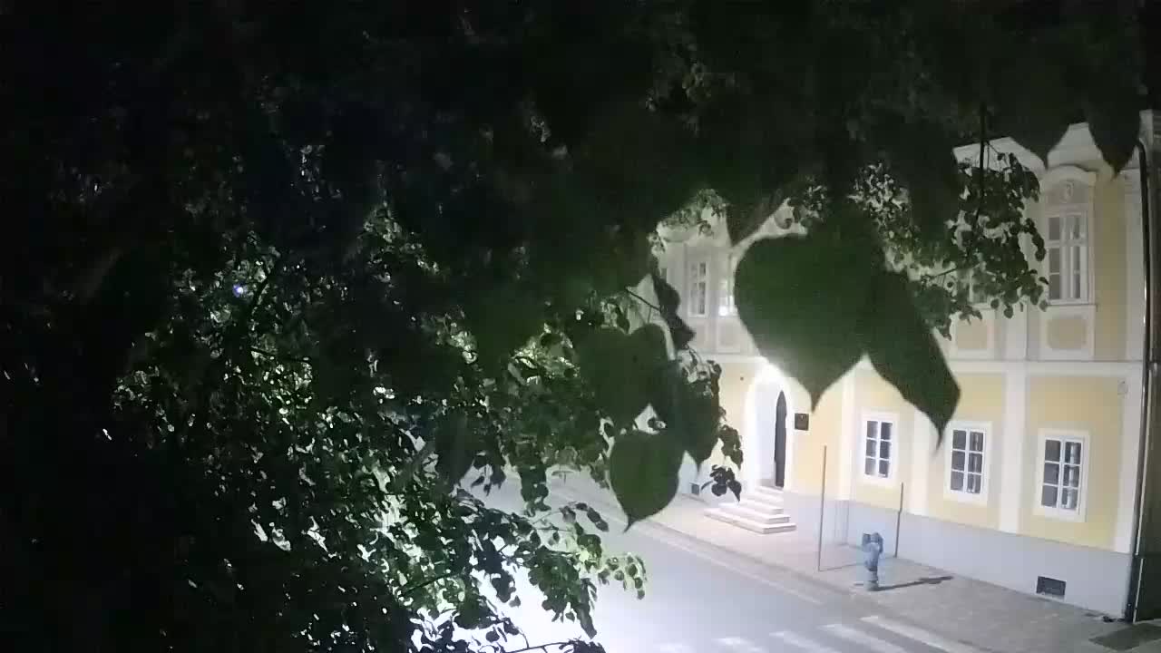 Spletna kamera v živo Petrinja centralni park – po potresu