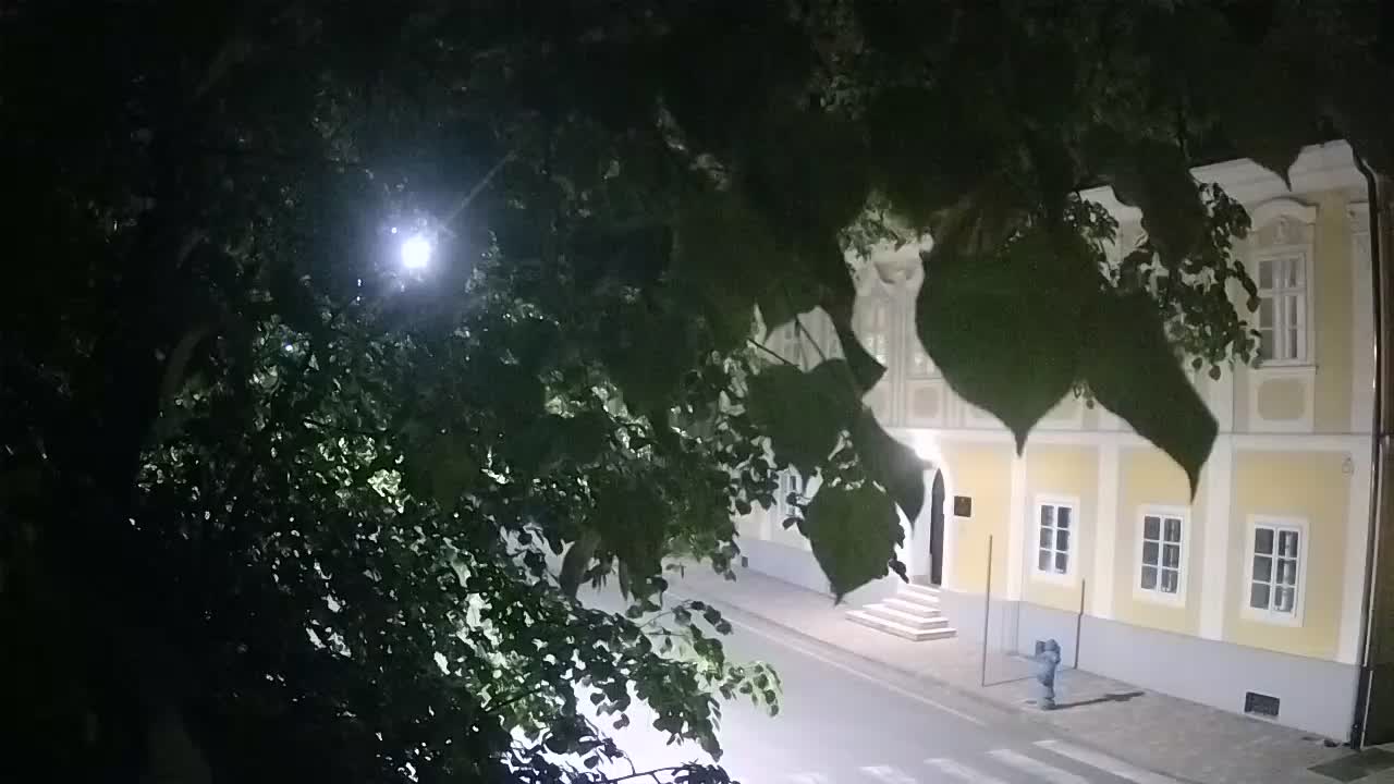Spletna kamera v živo Petrinja centralni park – po potresu