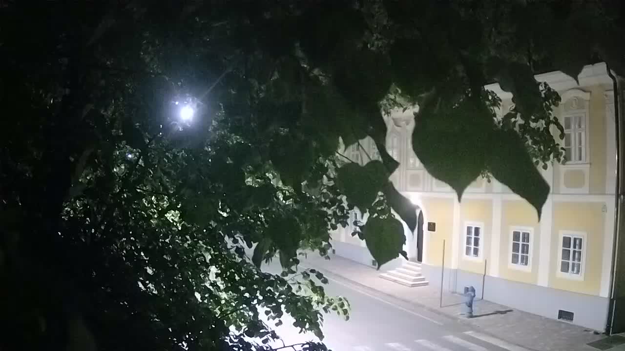 Webcam en direct du parc Petrinja – après le tremblement de terre