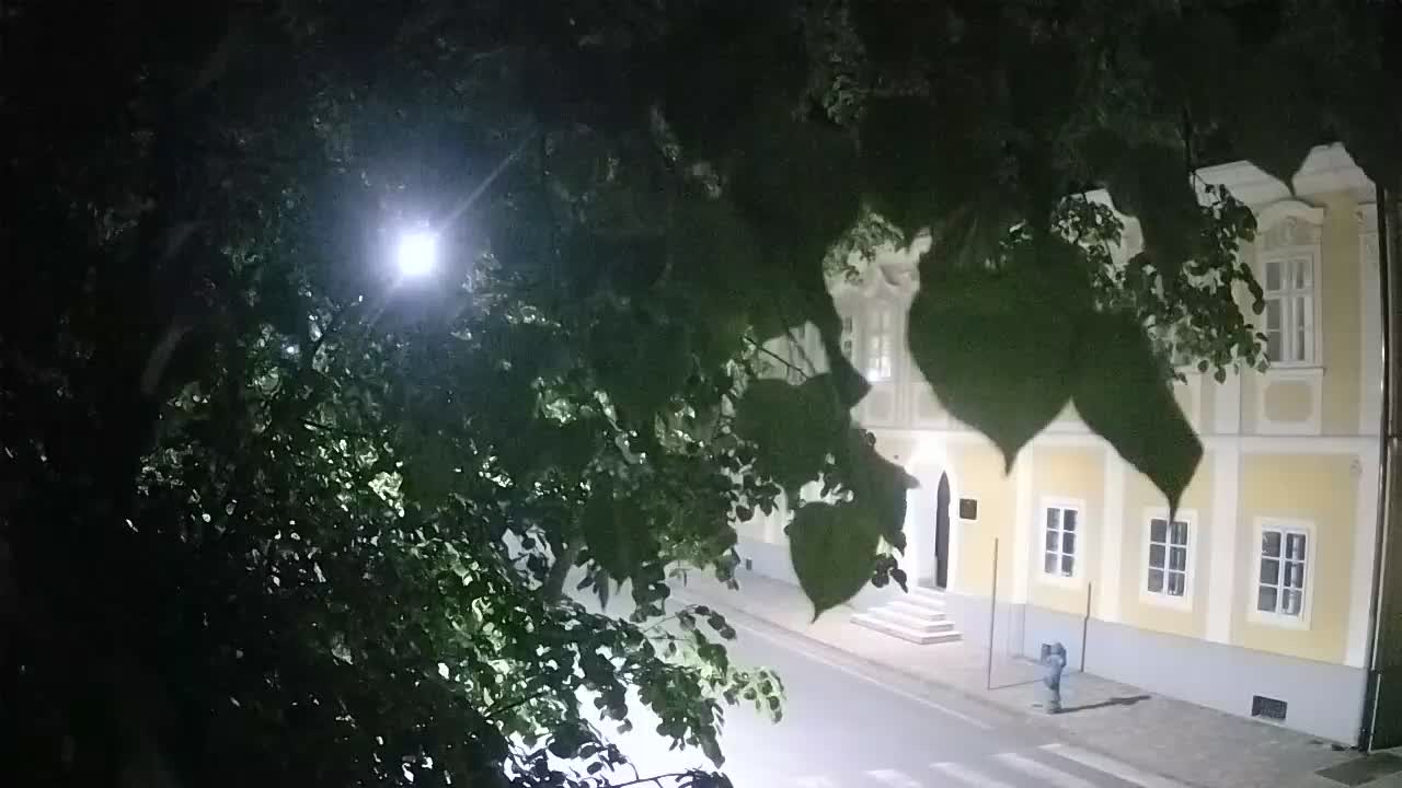 Webcam en direct du parc Petrinja – après le tremblement de terre