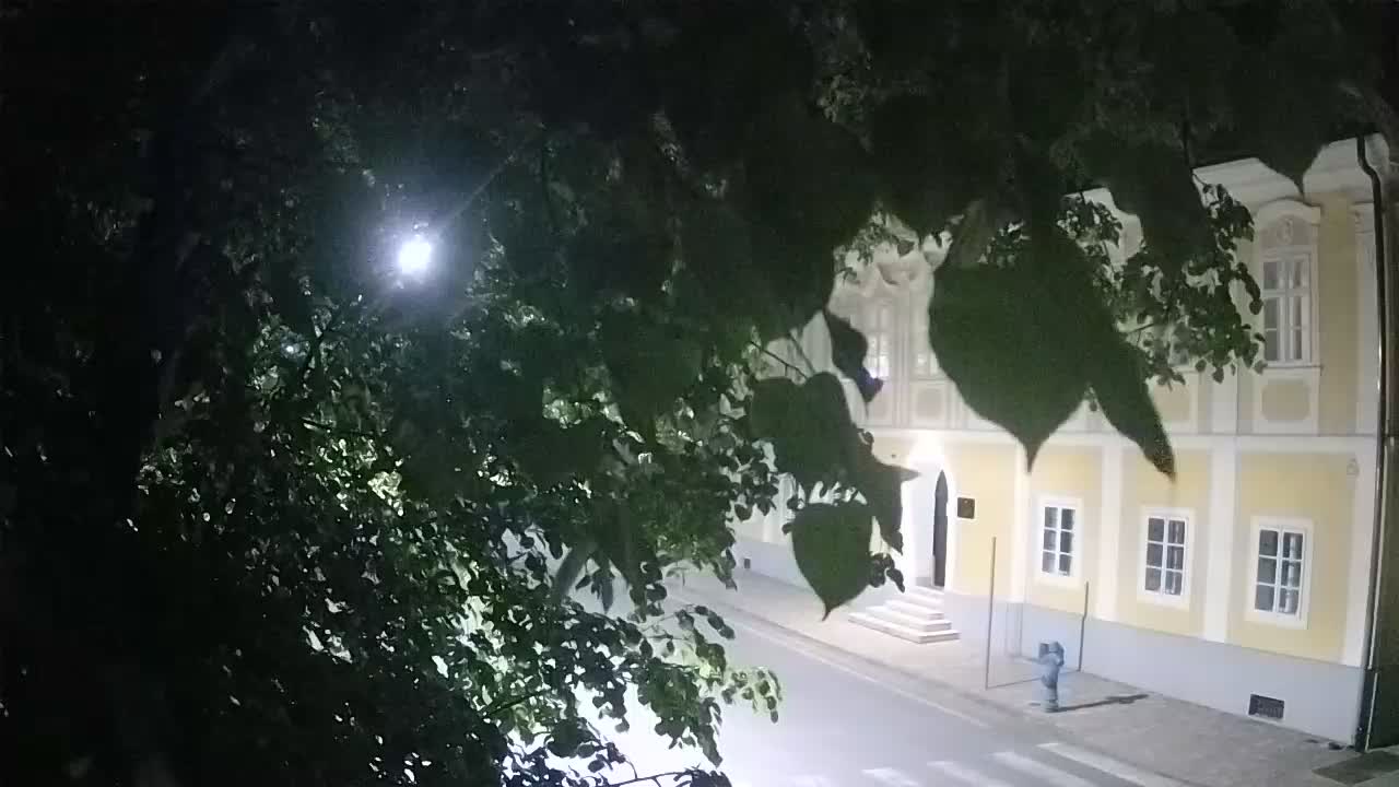 Spletna kamera v živo Petrinja centralni park – po potresu