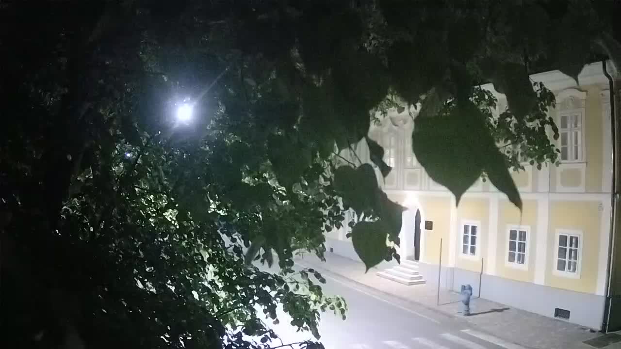 Live webcam parco Petrinja – dopo il terremoto