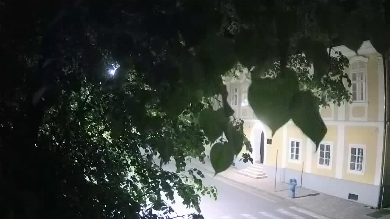 Live webcam parco Petrinja – dopo il terremoto