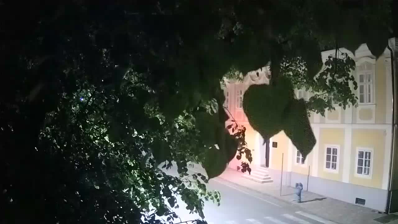 Live webcam parco Petrinja – dopo il terremoto