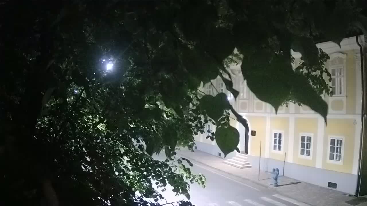 Live webcam parco Petrinja – dopo il terremoto