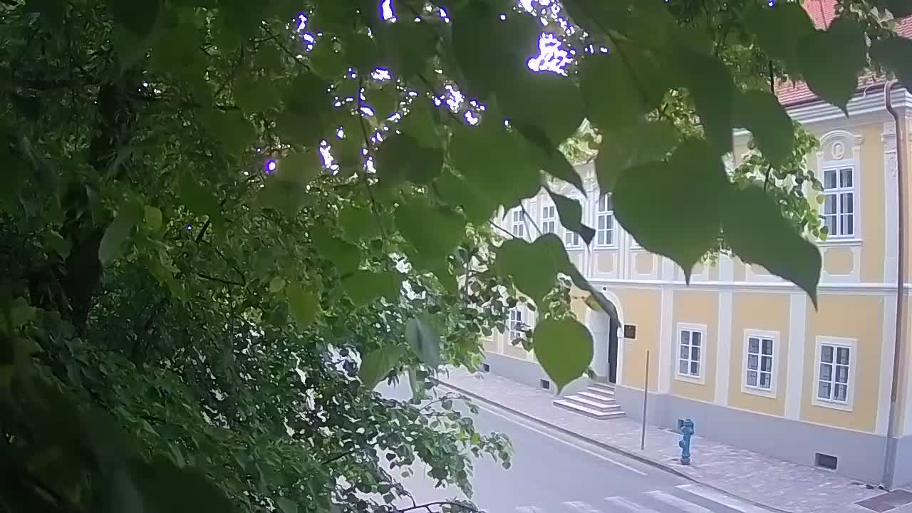 Webcam en direct du parc Petrinja – après le tremblement de terre