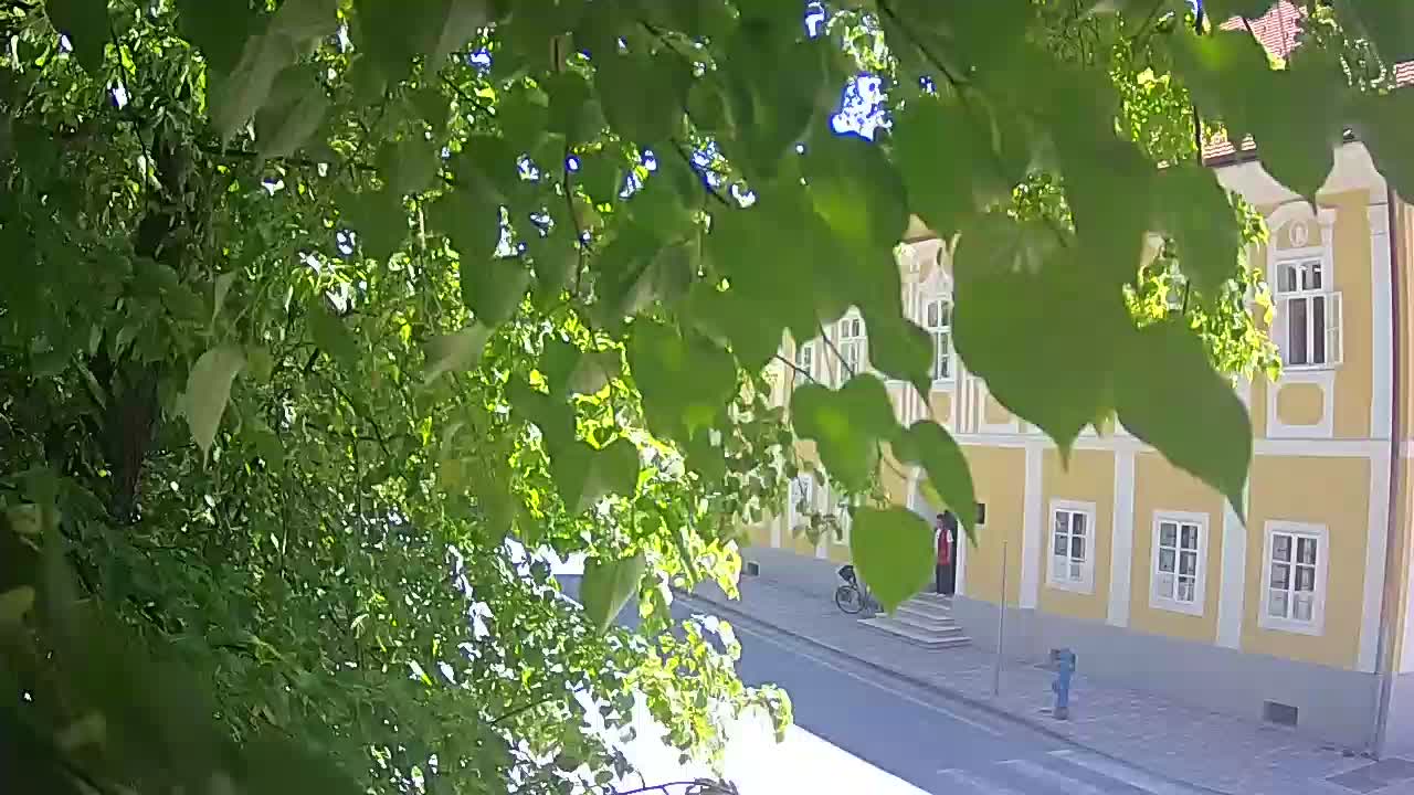 Webcam en vivo parque Petrinja – después del terremoto