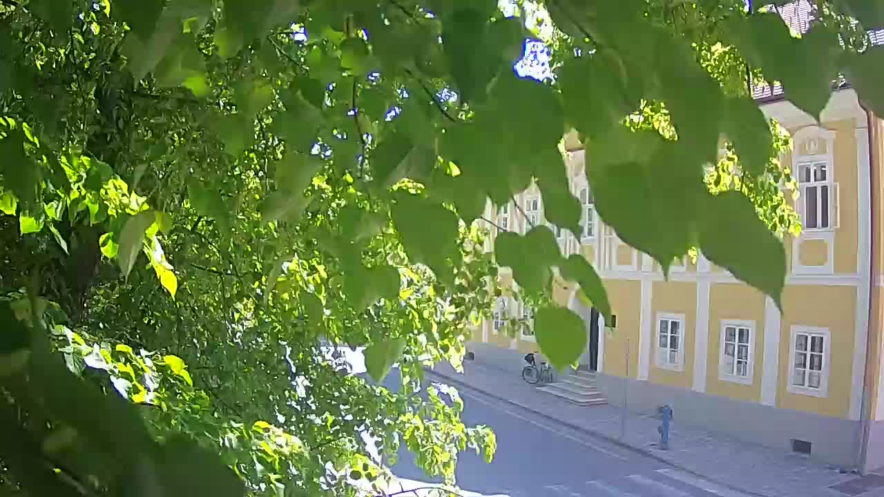 Live webcam Petrinja central park – after the earthquake