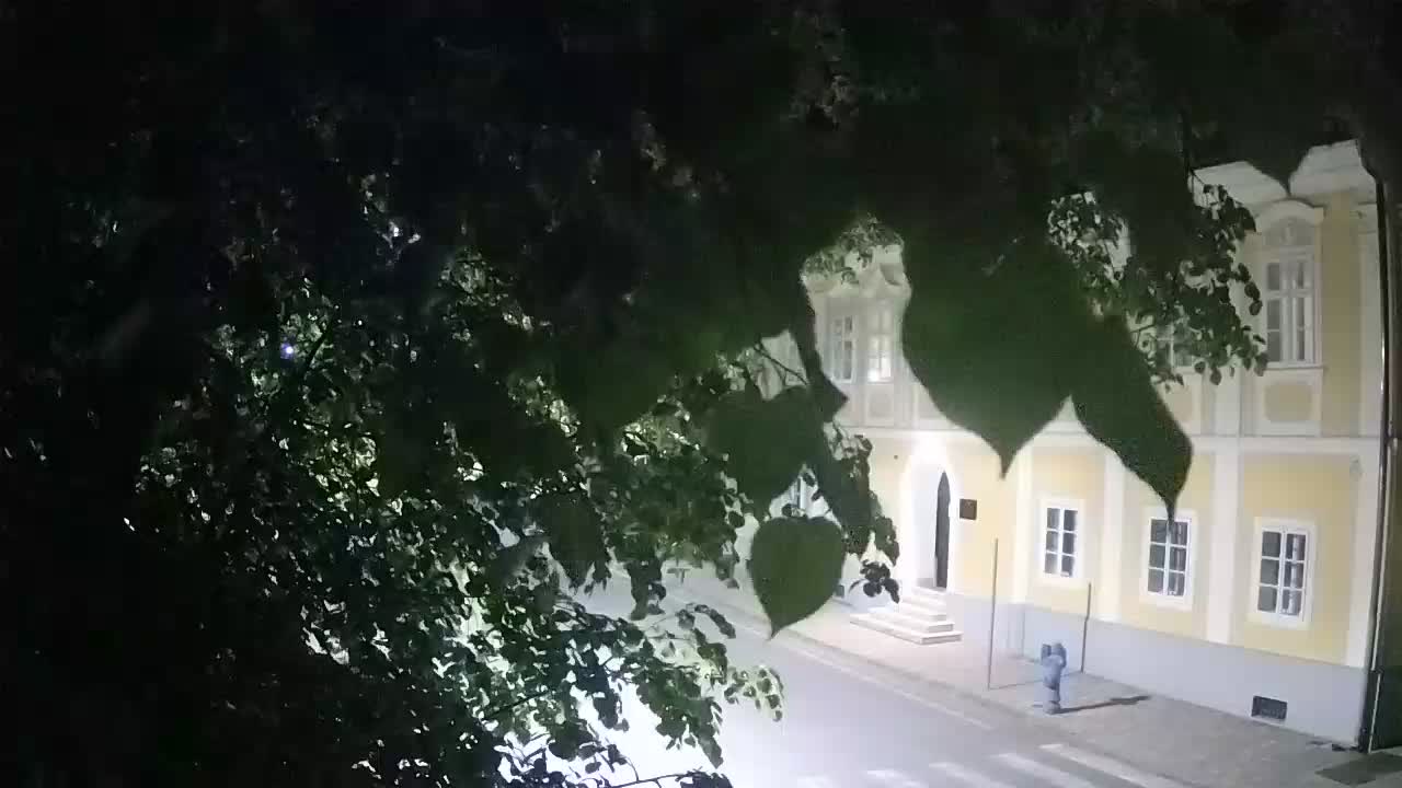 Web kamera uživo Petrinja centralni park – nakon potresa