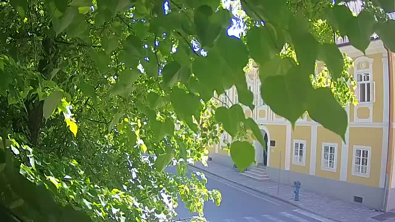 Web kamera uživo Petrinja centralni park – nakon potresa