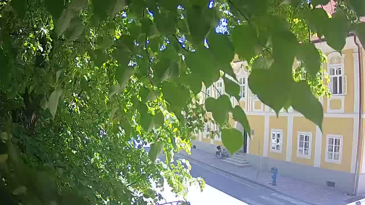 Spletna kamera v živo Petrinja centralni park – po potresu