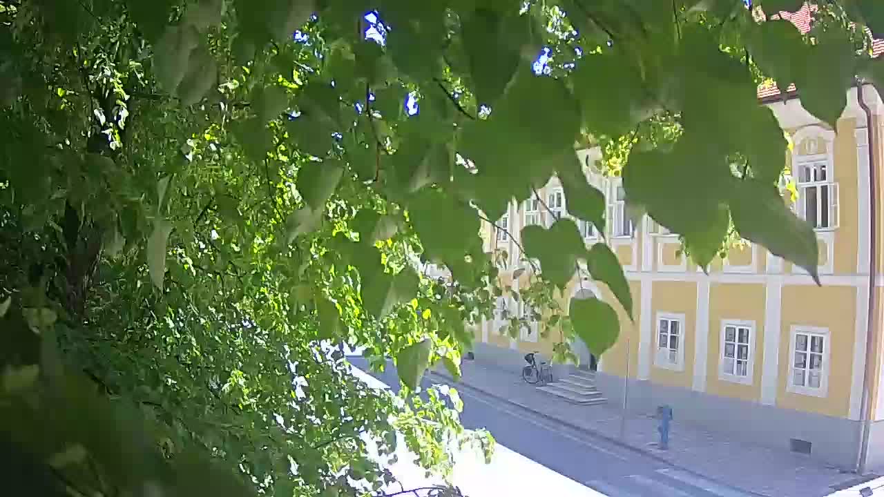 Live webcam parco Petrinja – dopo il terremoto