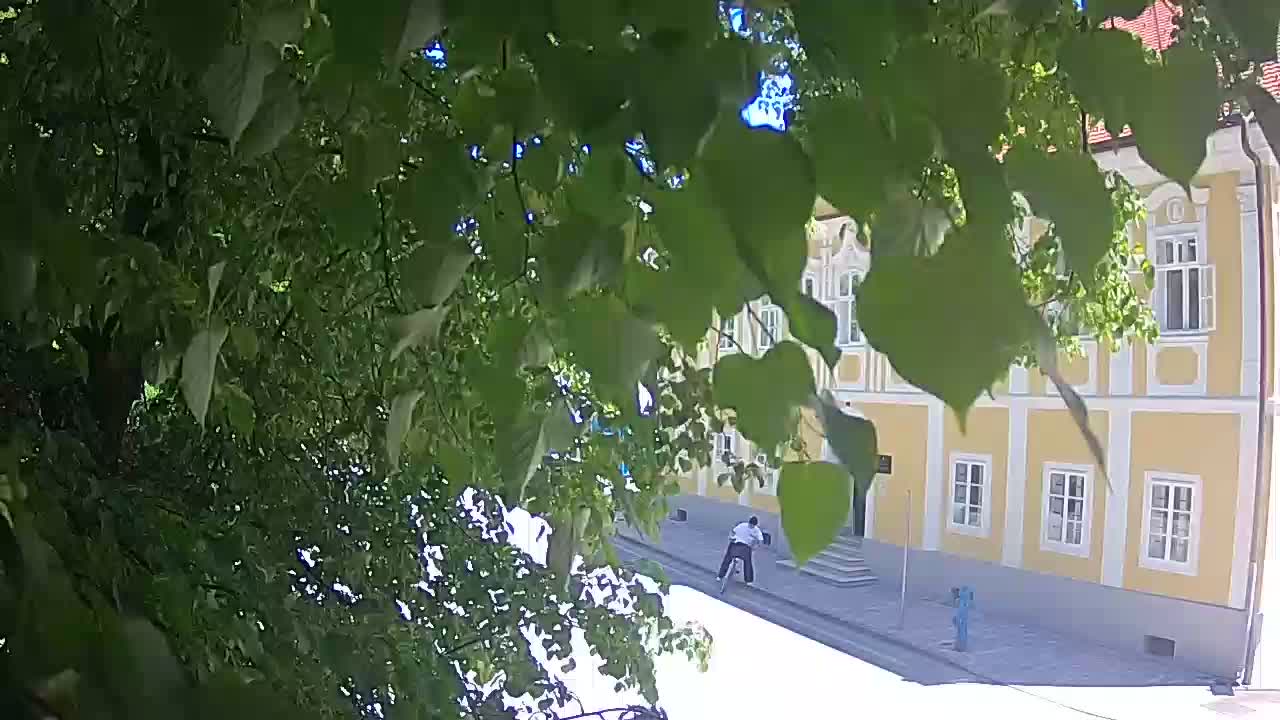Live webcam Petrinja central park – after the earthquake