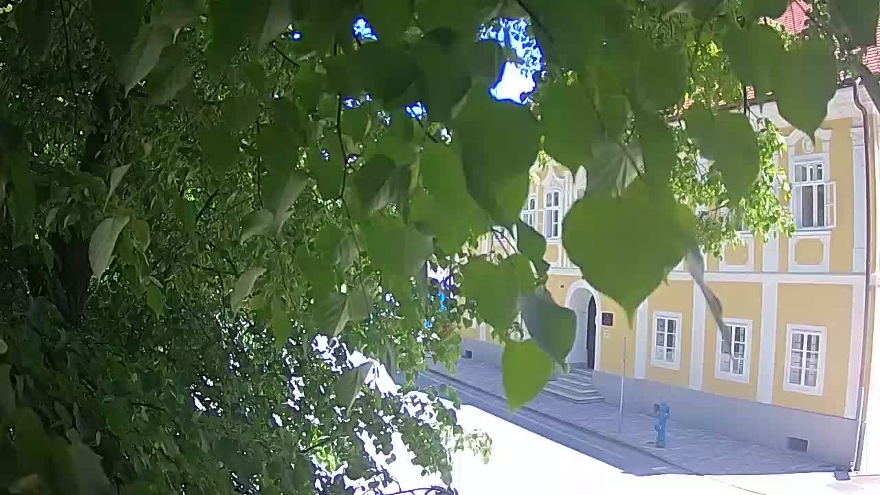 Live webcam parco Petrinja – dopo il terremoto