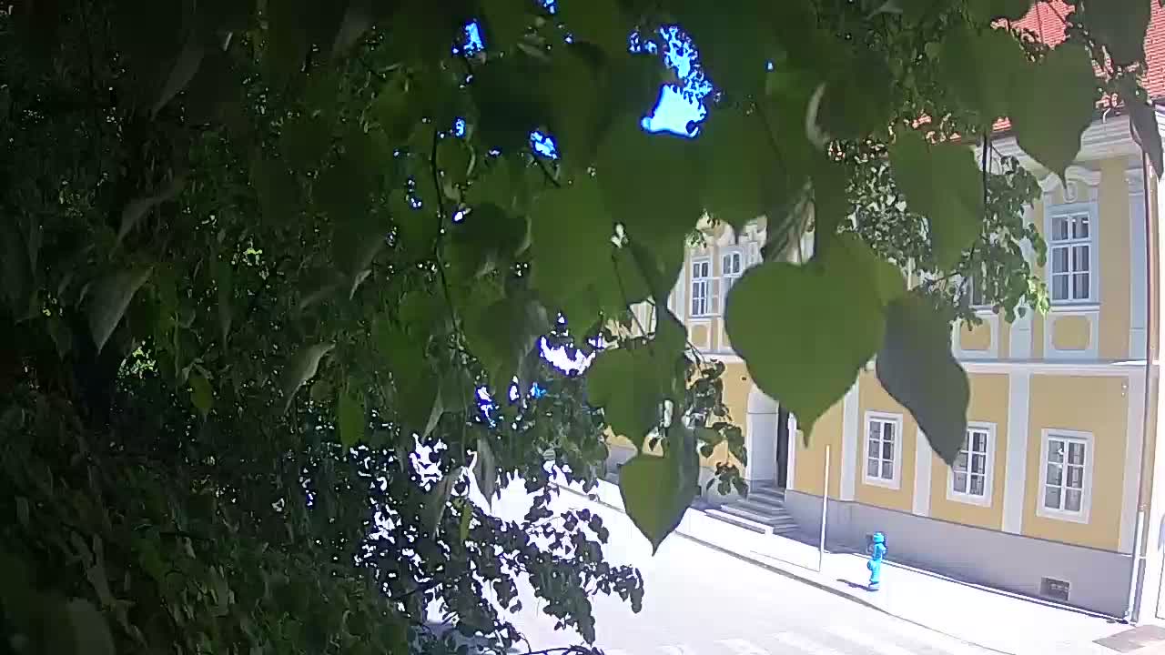 Live Webcam Petrinja Park – nach dem Erdbeben