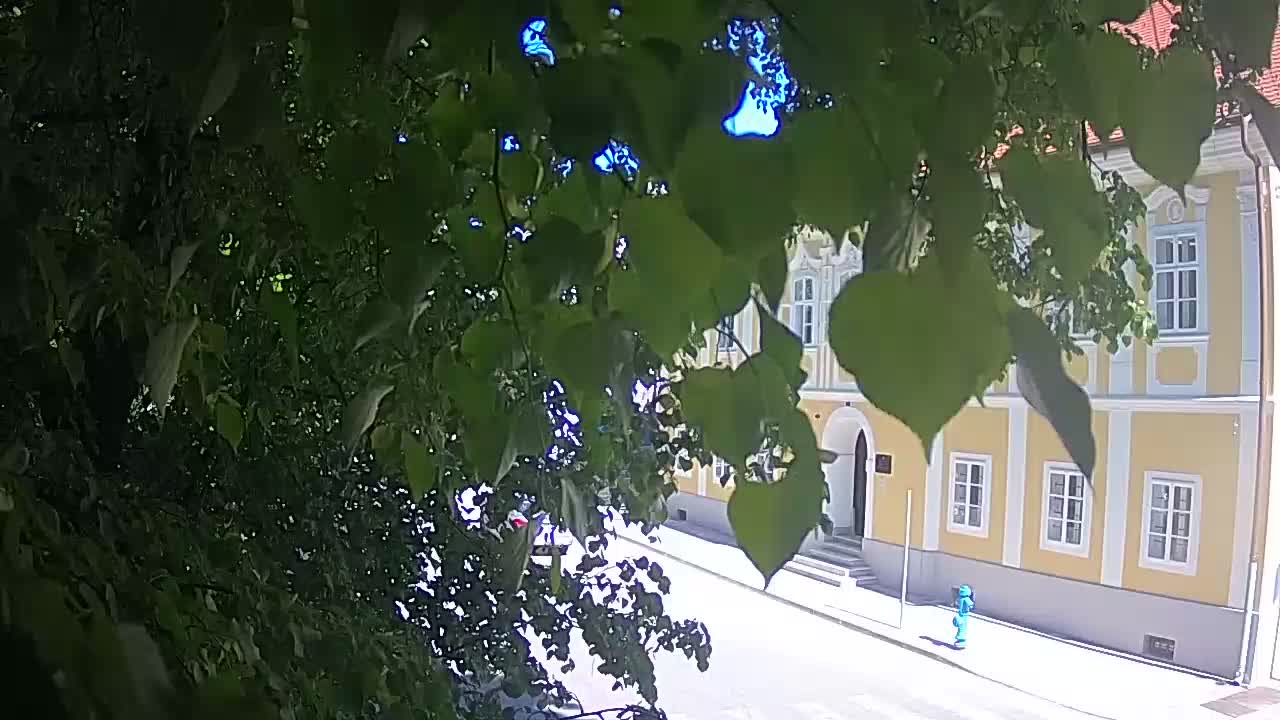 Webcam en direct du parc Petrinja – après le tremblement de terre