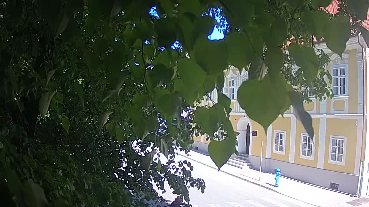 Live webcam Petrinja central park – after the earthquake