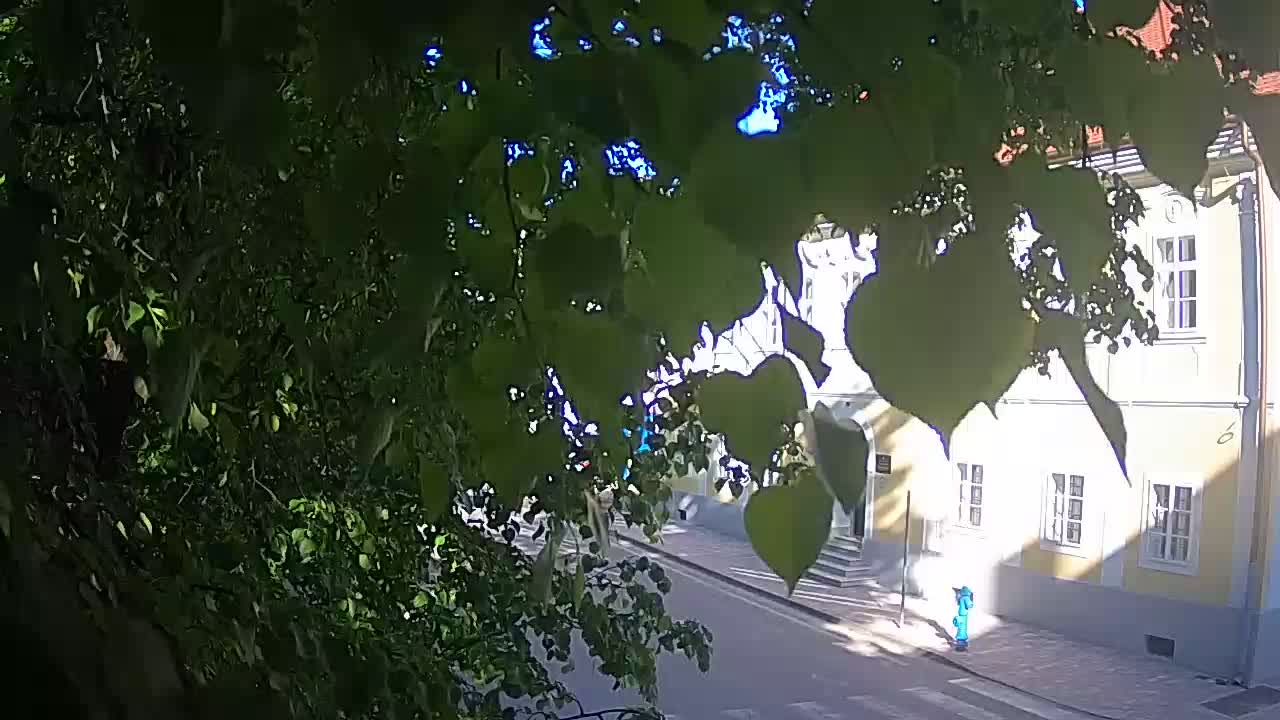 Live webcam Petrinja central park – after the earthquake