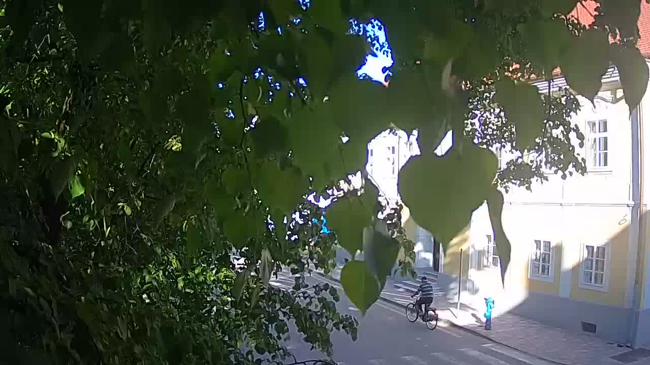 Spletna kamera v živo Petrinja centralni park – po potresu