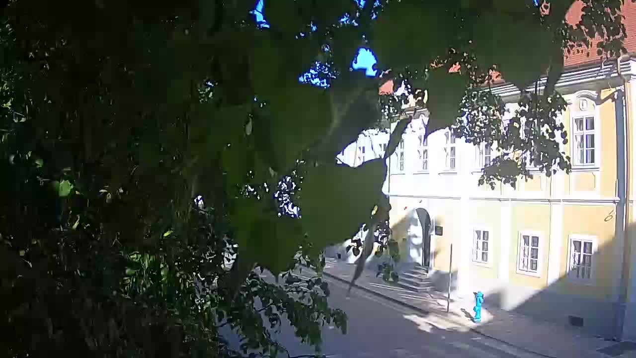 Spletna kamera v živo Petrinja centralni park – po potresu