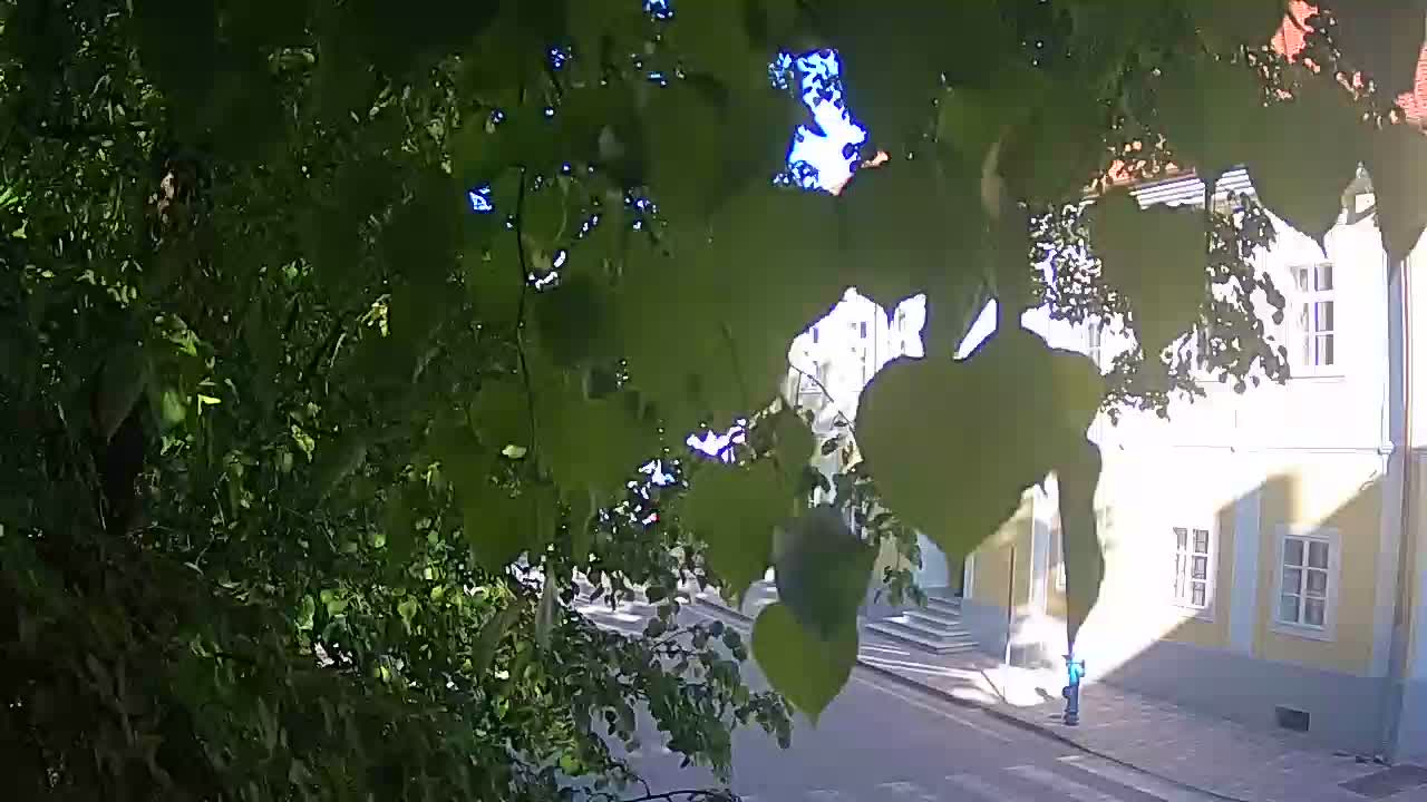 Spletna kamera v živo Petrinja centralni park – po potresu