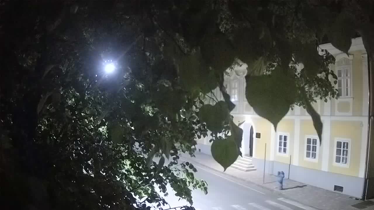 Live webcam parco Petrinja – dopo il terremoto