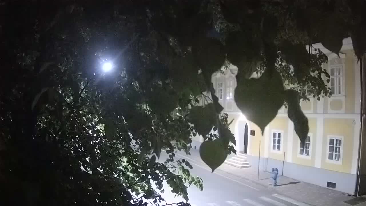 Live Webcam Petrinja Park – nach dem Erdbeben
