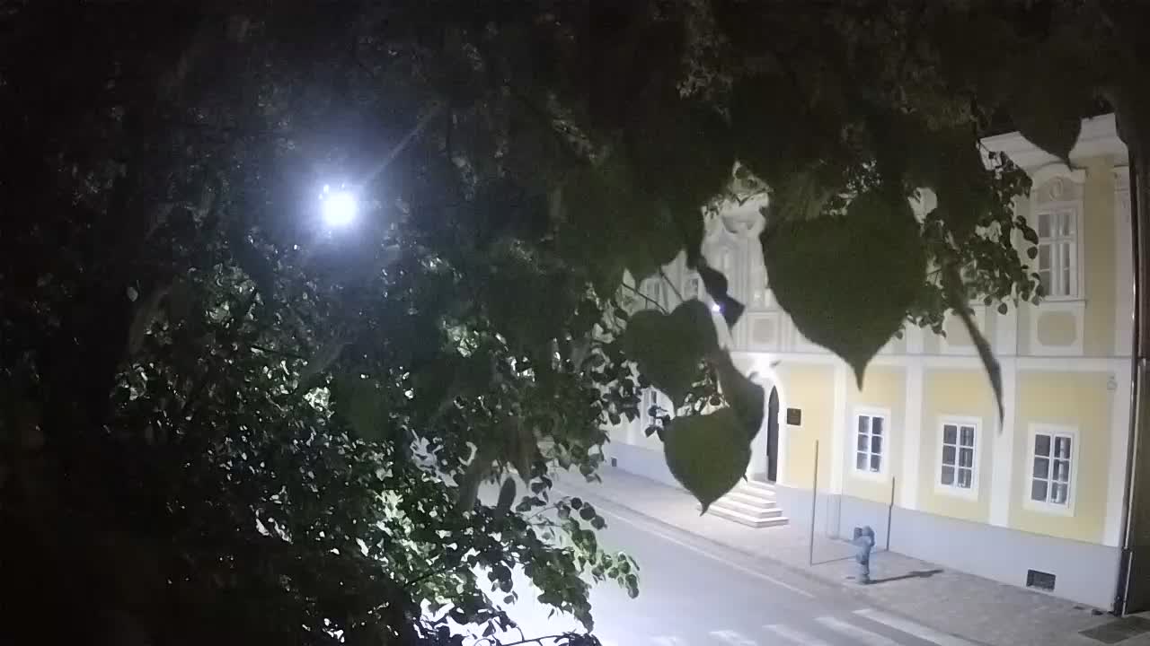 Web kamera uživo Petrinja centralni park – nakon potresa