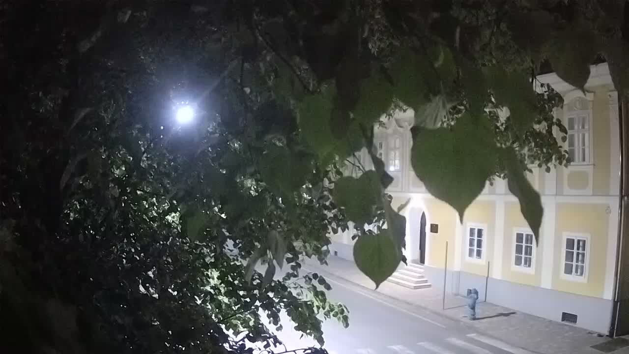 Webcam en direct du parc Petrinja – après le tremblement de terre