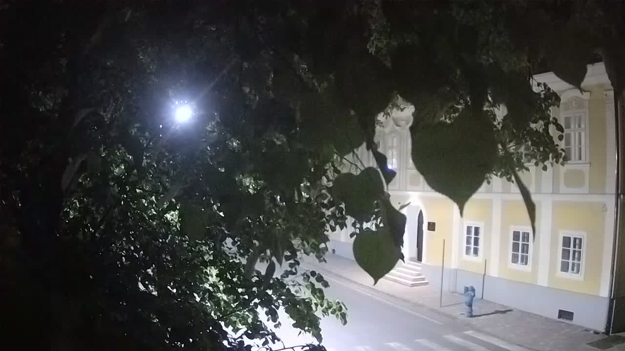 Webcam en vivo parque Petrinja – después del terremoto