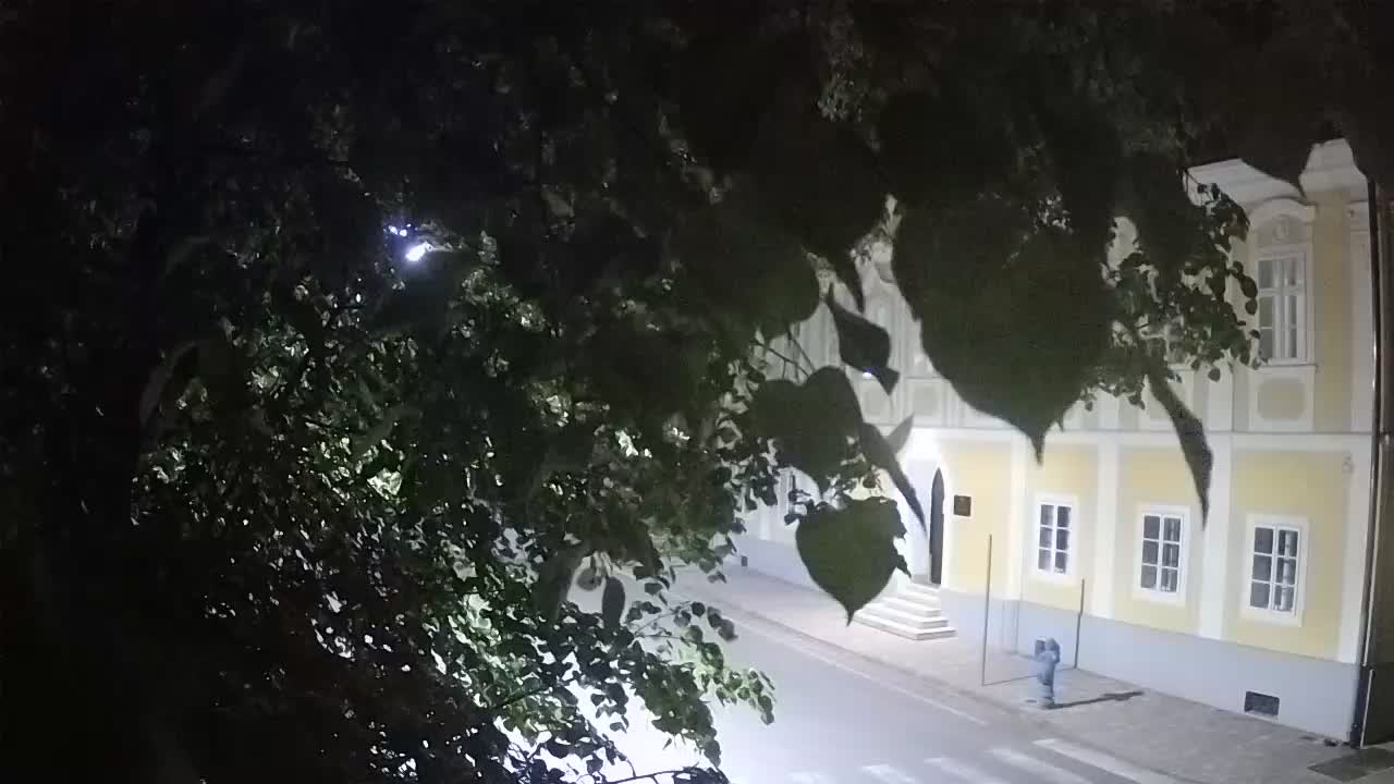Live webcam parco Petrinja – dopo il terremoto