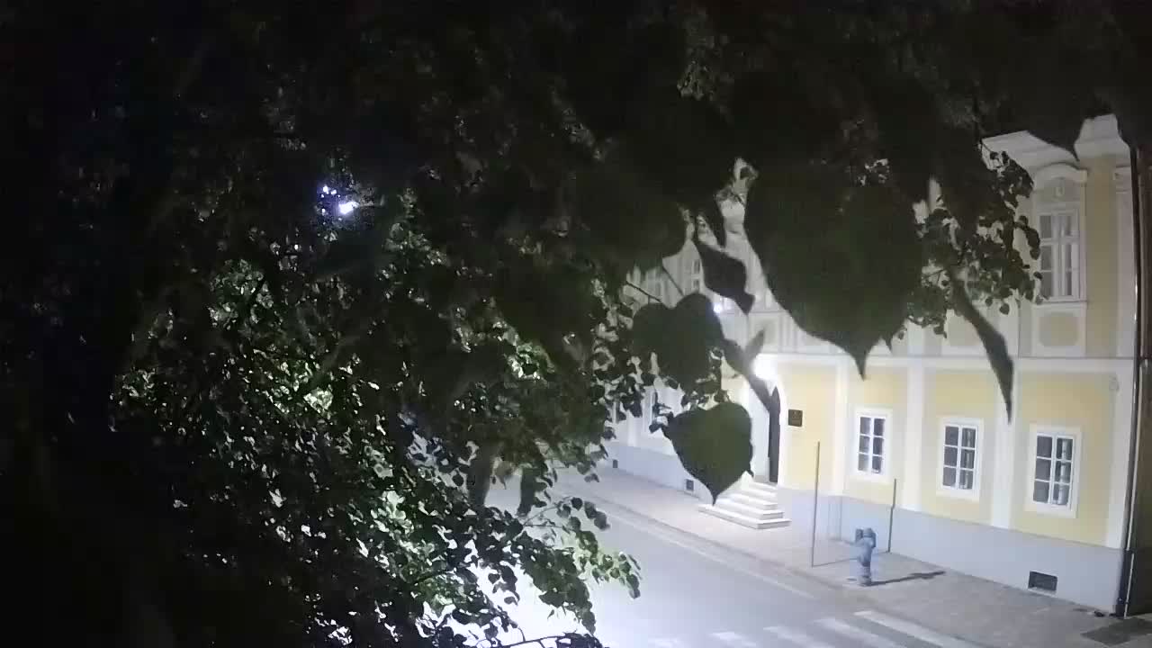 Web kamera uživo Petrinja centralni park – nakon potresa