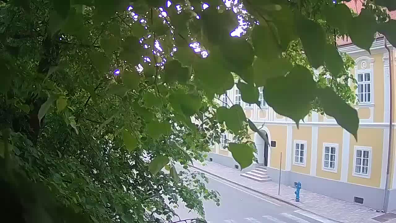 Spletna kamera v živo Petrinja centralni park – po potresu