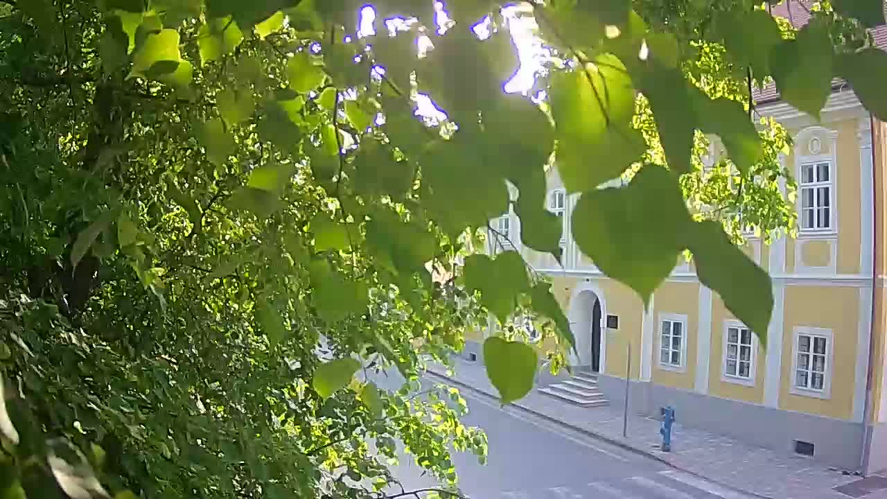 Webcam en direct du parc Petrinja – après le tremblement de terre