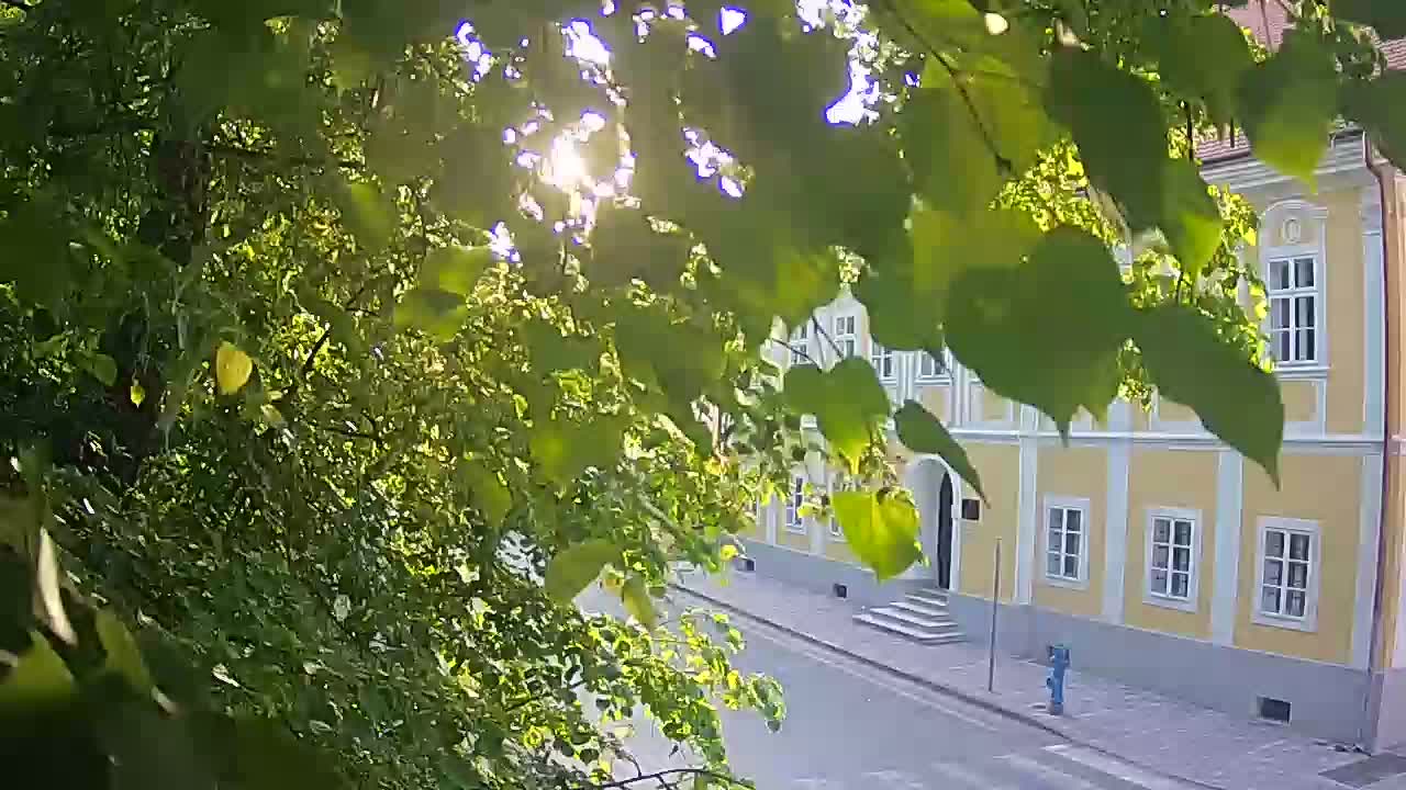 Webcam en vivo parque Petrinja – después del terremoto