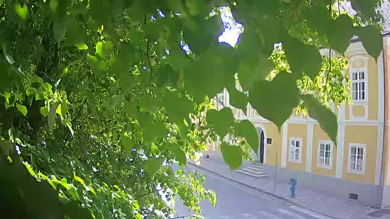 Live Webcam Petrinja Park – nach dem Erdbeben