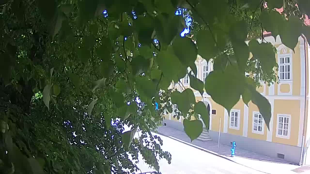 Webcam en vivo parque Petrinja – después del terremoto