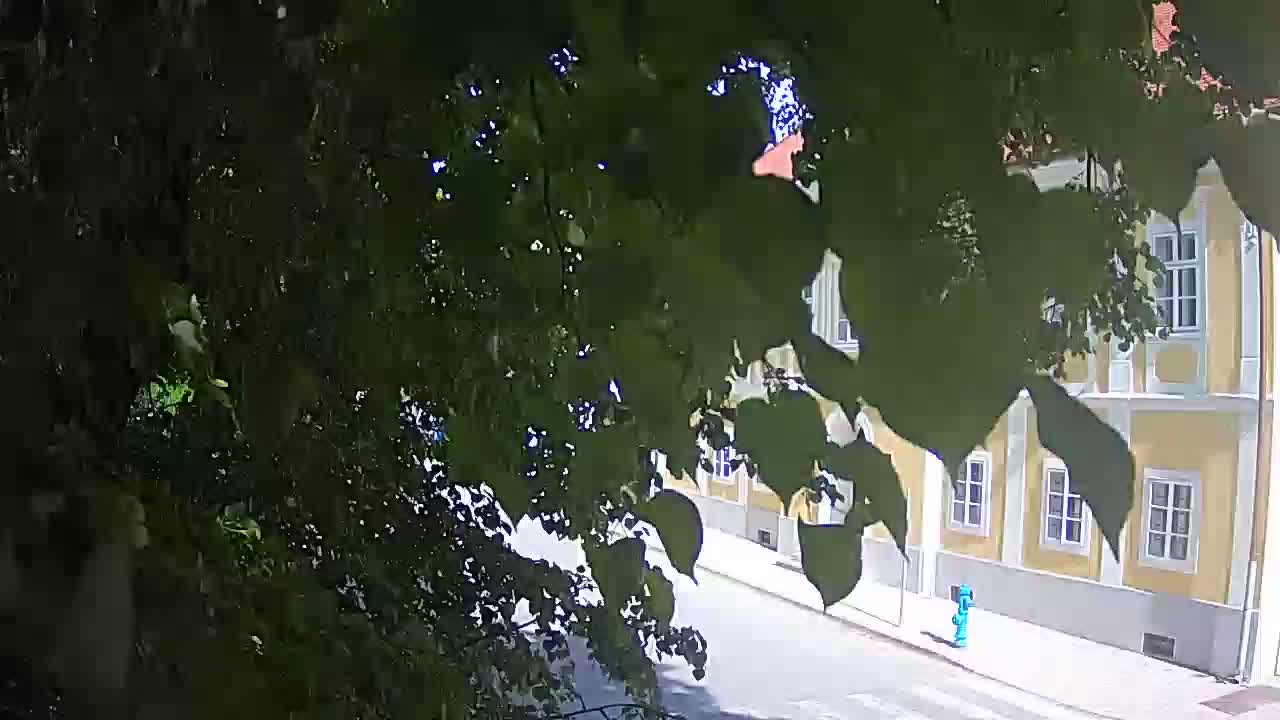 Webcam en direct du parc Petrinja – après le tremblement de terre