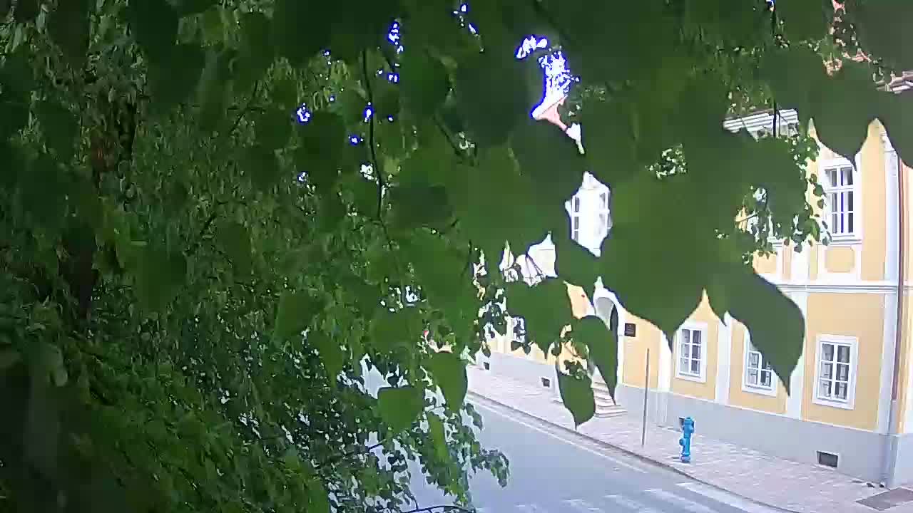Spletna kamera v živo Petrinja centralni park – po potresu