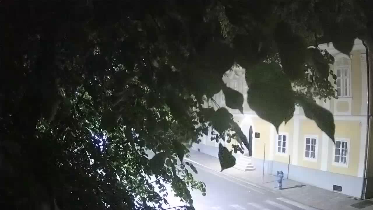 Live webcam parco Petrinja – dopo il terremoto