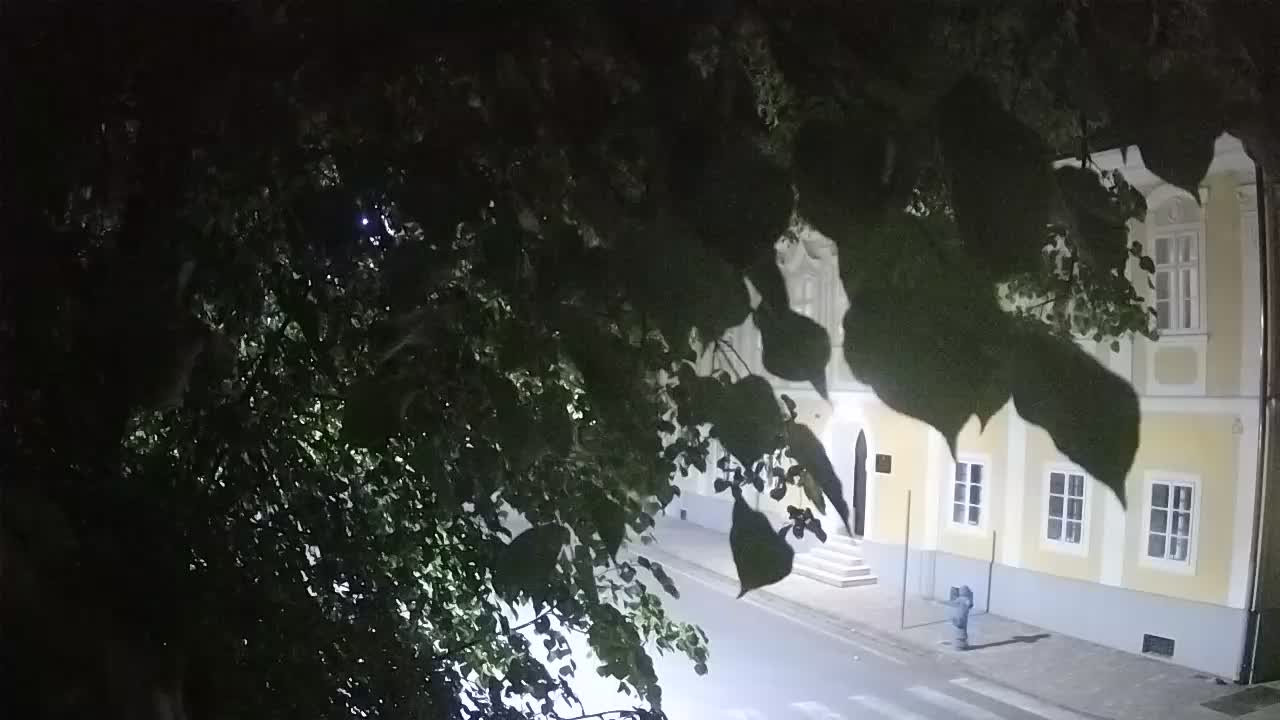 Webcam en vivo parque Petrinja – después del terremoto
