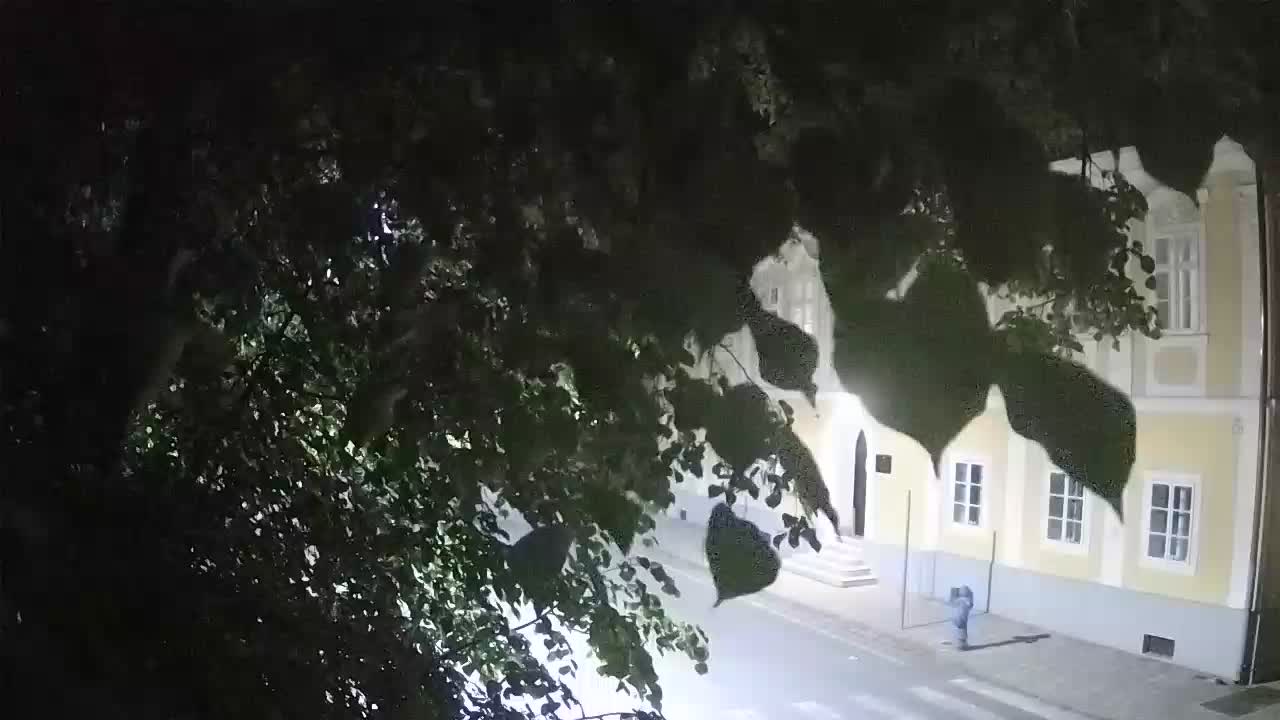 Web kamera uživo Petrinja centralni park – nakon potresa