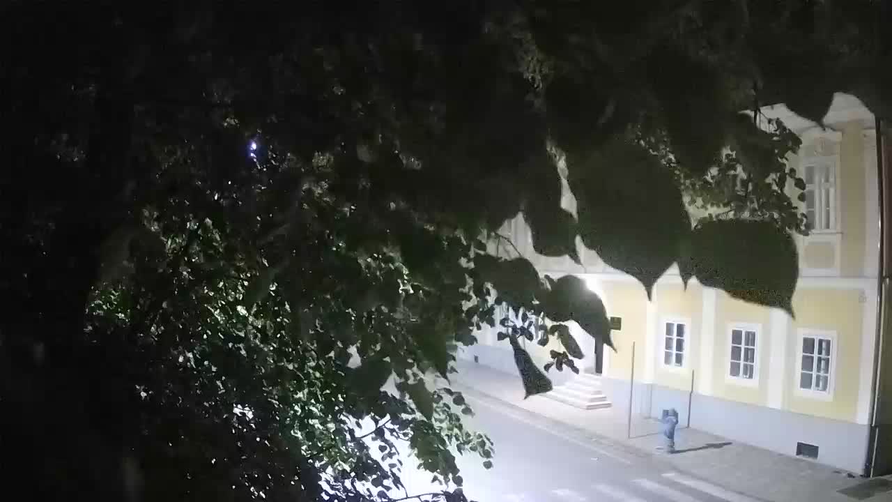 Webcam en direct du parc Petrinja – après le tremblement de terre