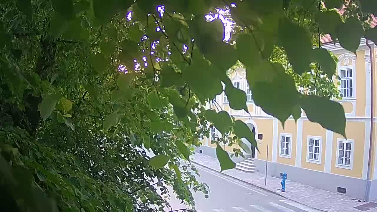 Webcam en direct du parc Petrinja – après le tremblement de terre
