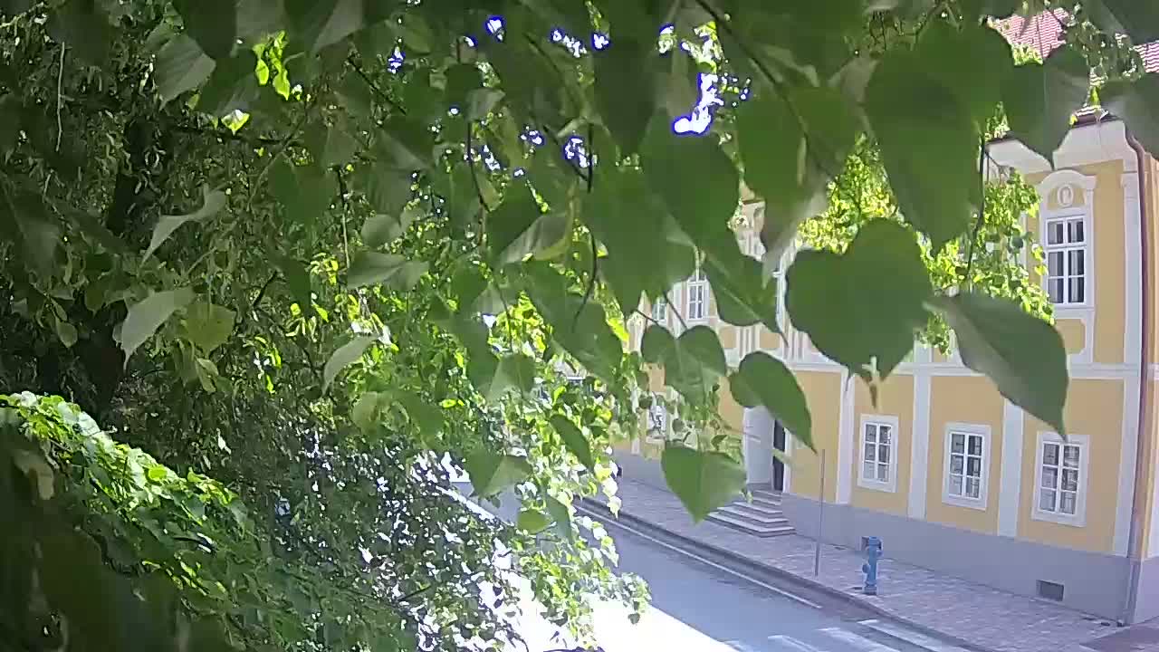 Webcam en vivo parque Petrinja – después del terremoto