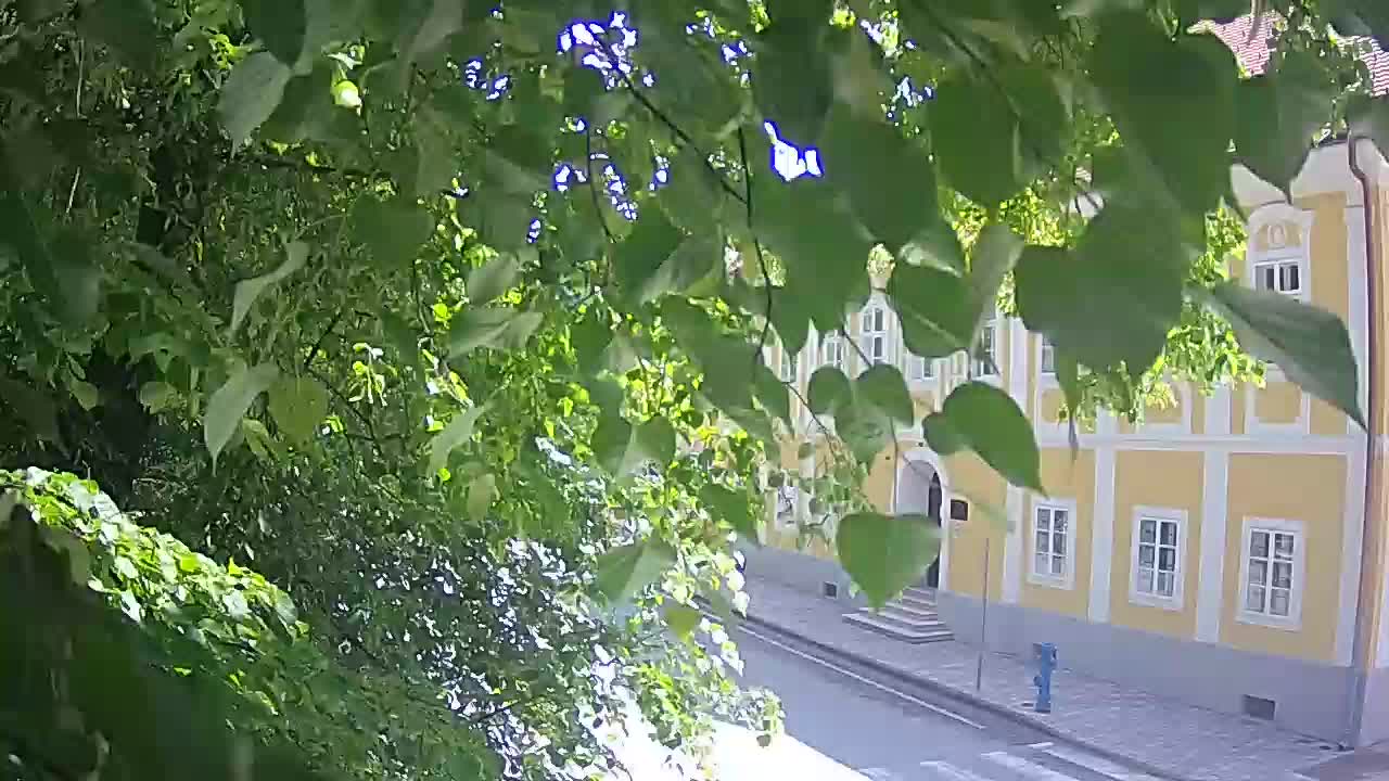 Webcam en direct du parc Petrinja – après le tremblement de terre
